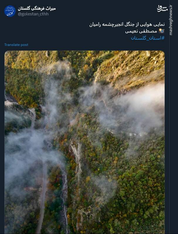 نمایی هوایی از جنگل انجیرچشمه رامیان