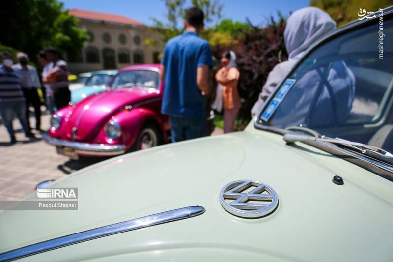 عکس/گردهمایی فولکس واگن ها در اصفهان