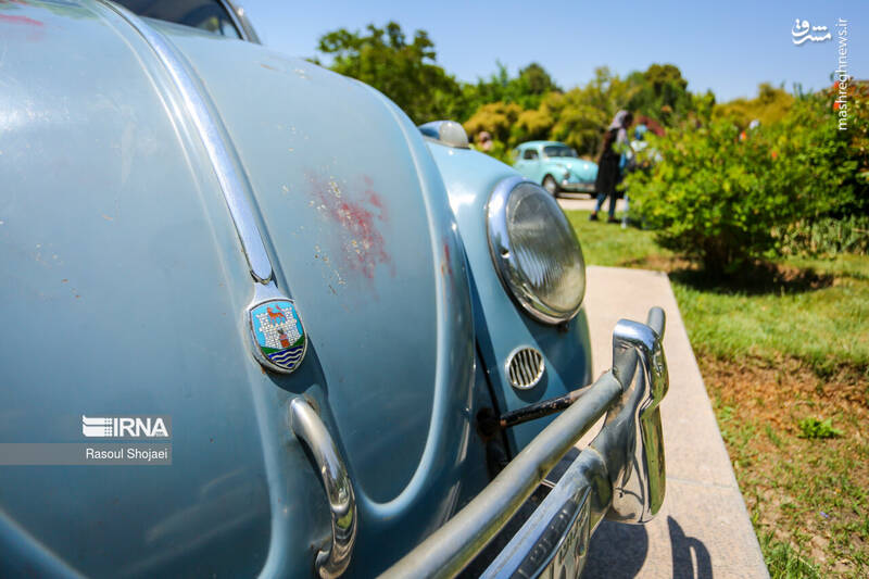 عکس/گردهمایی فولکس واگن ها در اصفهان