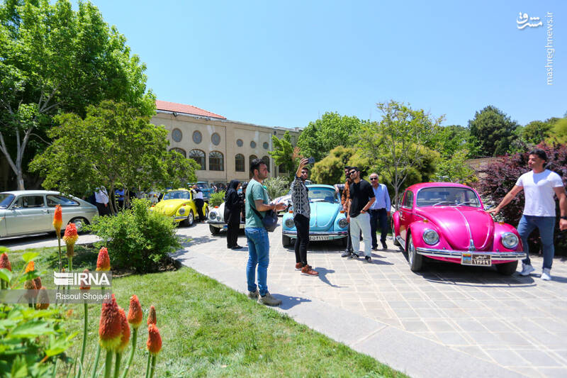 عکس/گردهمایی فولکس واگن ها در اصفهان