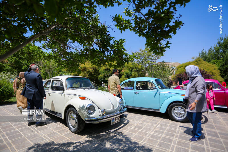 عکس/گردهمایی فولکس واگن ها در اصفهان