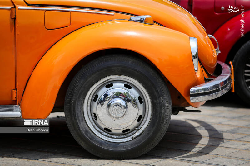 عکس/گردهمایی فولکس واگن ها در اصفهان