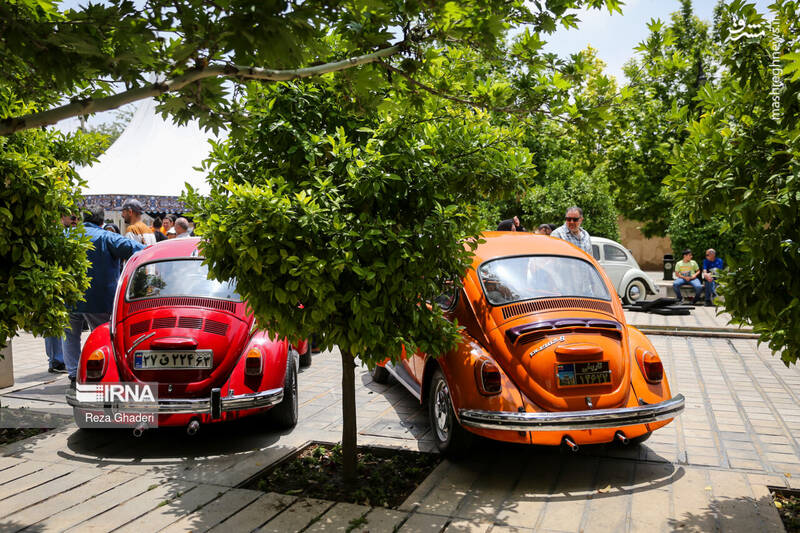 عکس/گردهمایی فولکس واگن ها در اصفهان