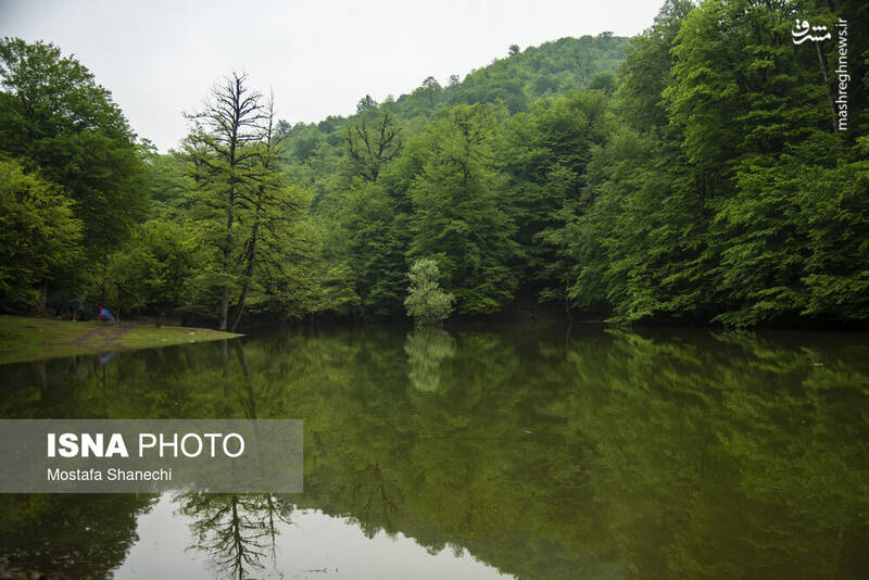 عکس/ طبیعت بهاری دریاچه میانشه ساری