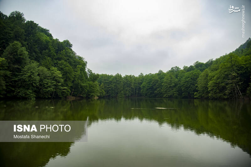 عکس/ طبیعت بهاری دریاچه میانشه ساری