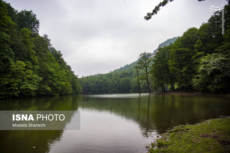 عکس/ طبیعت بهاری دریاچه میانشه ساری