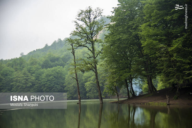 عکس/ طبیعت بهاری دریاچه میانشه ساری