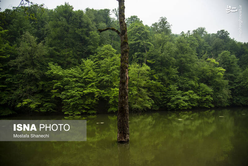 عکس/ طبیعت بهاری دریاچه میانشه ساری