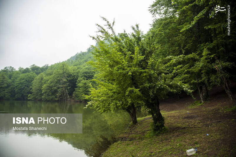 عکس/ طبیعت بهاری دریاچه میانشه ساری
