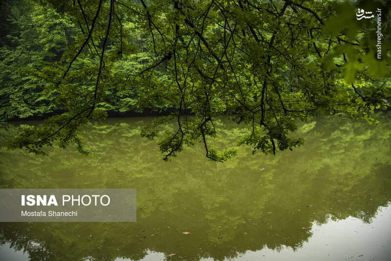 عکس/ طبیعت بهاری دریاچه میانشه ساری