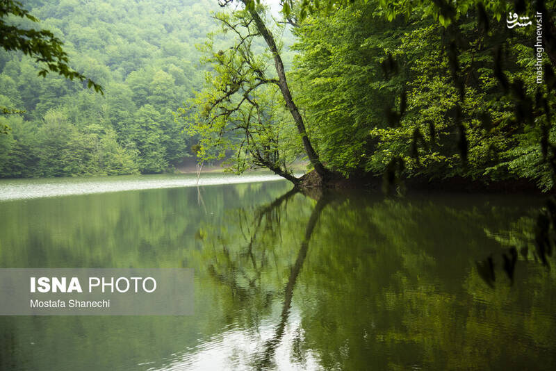 عکس/ طبیعت بهاری دریاچه میانشه ساری