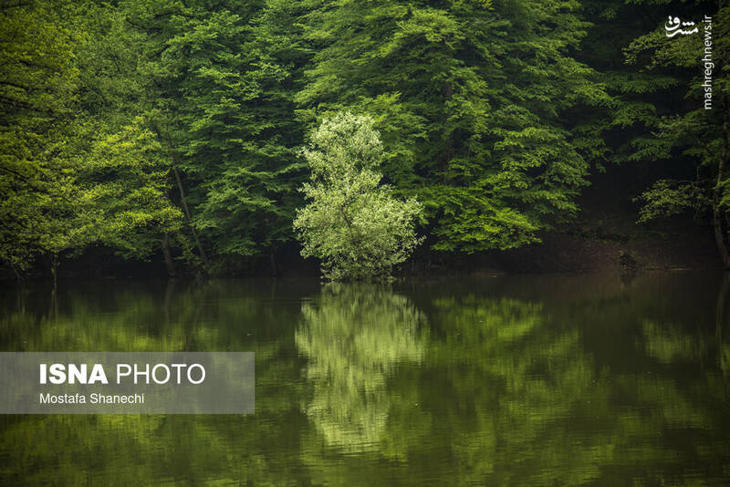 عکس/ طبیعت بهاری دریاچه میانشه ساری