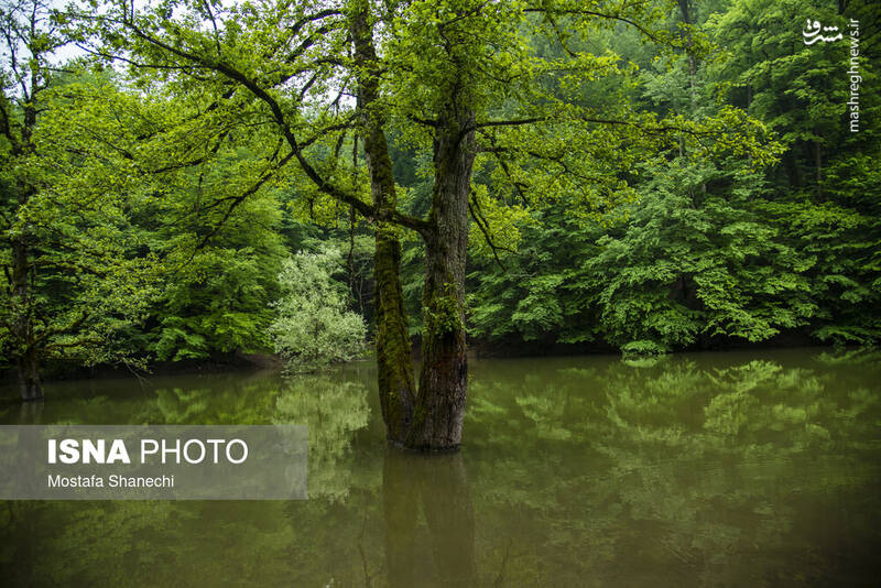 عکس/ طبیعت بهاری دریاچه میانشه ساری