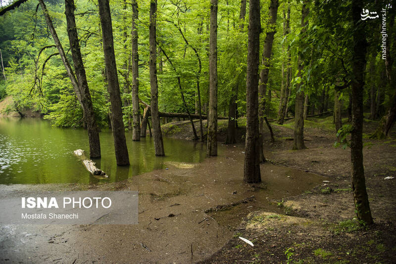 عکس/ طبیعت بهاری دریاچه میانشه ساری