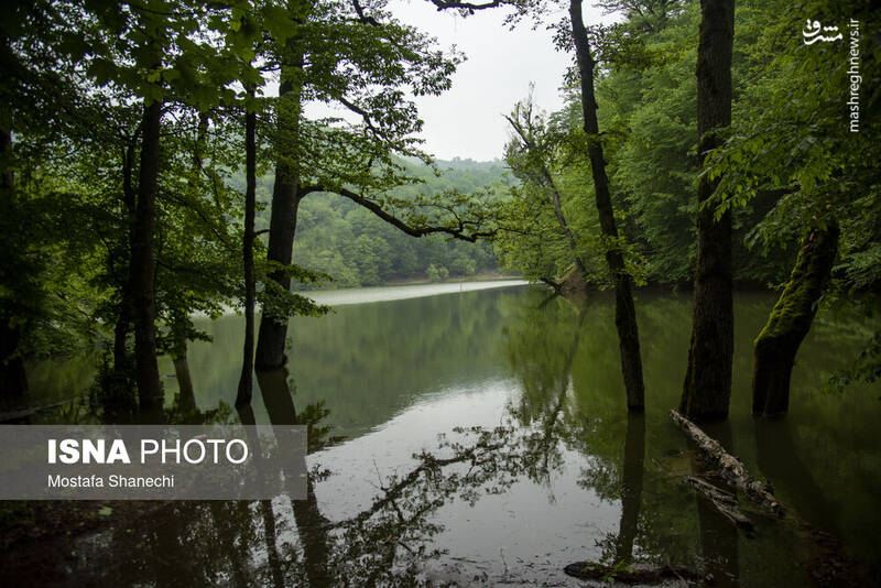 عکس/ طبیعت بهاری دریاچه میانشه ساری