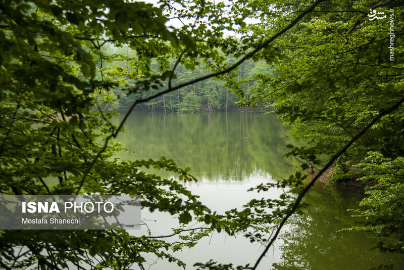 عکس/ طبیعت بهاری دریاچه میانشه ساری