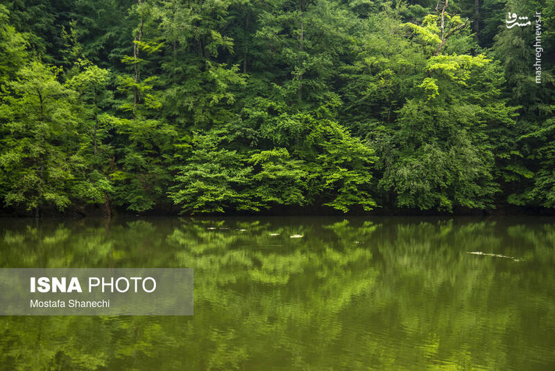 عکس/ طبیعت بهاری دریاچه میانشه ساری