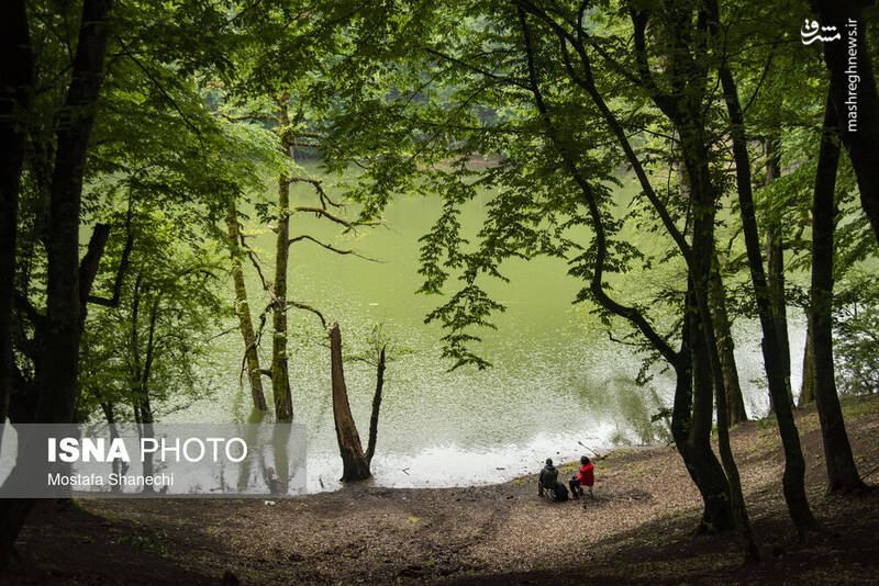 عکس/ طبیعت بهاری دریاچه میانشه ساری