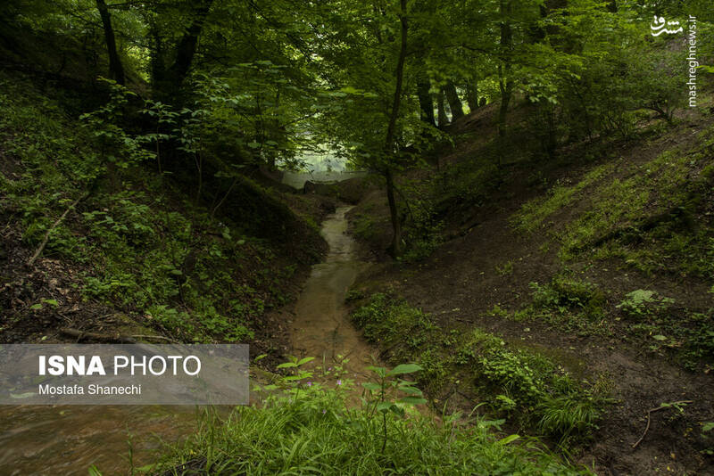 عکس/ طبیعت بهاری دریاچه میانشه ساری