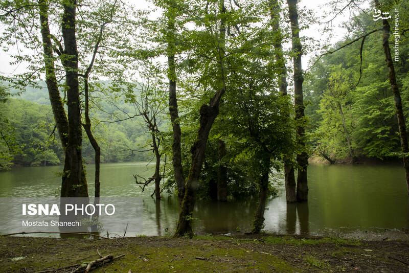 عکس/ طبیعت بهاری دریاچه میانشه ساری