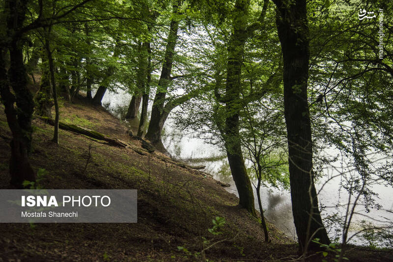 عکس/ طبیعت بهاری دریاچه میانشه ساری