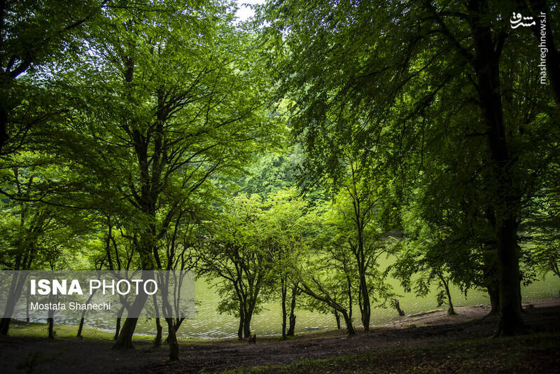 عکس/ طبیعت بهاری دریاچه میانشه ساری