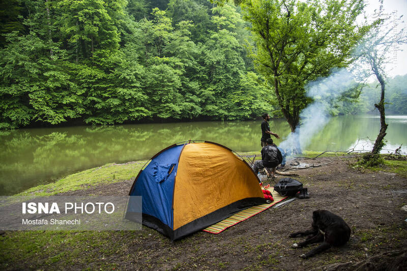 عکس/ طبیعت بهاری دریاچه میانشه ساری