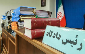 حامیان متهمان دانهدرشت عصبانی از محکومیت وزیر سابق!