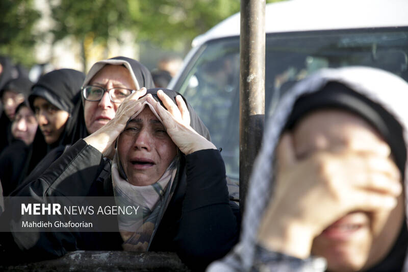 قاب هایی از اندوه در فراق خادم الرضا