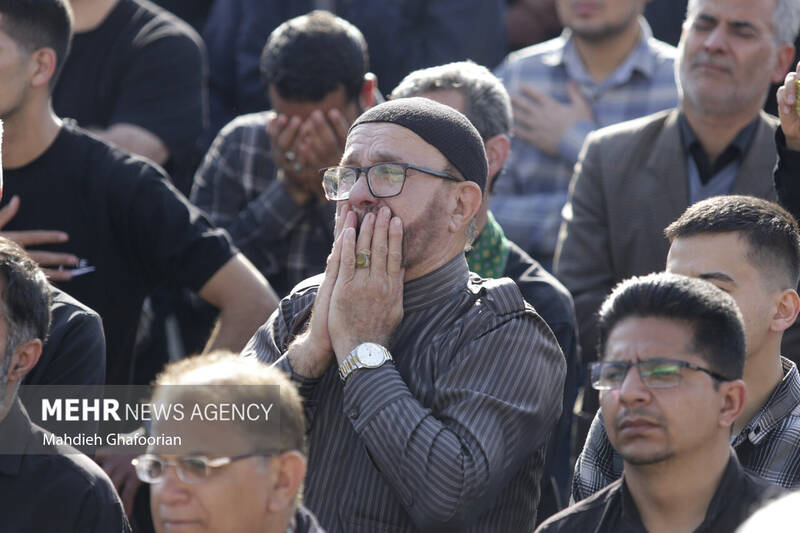 قاب هایی از اندوه در فراق خادم الرضا