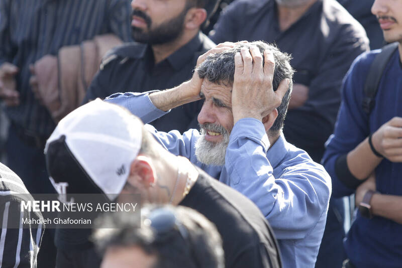 قاب هایی از اندوه در فراق خادم الرضا