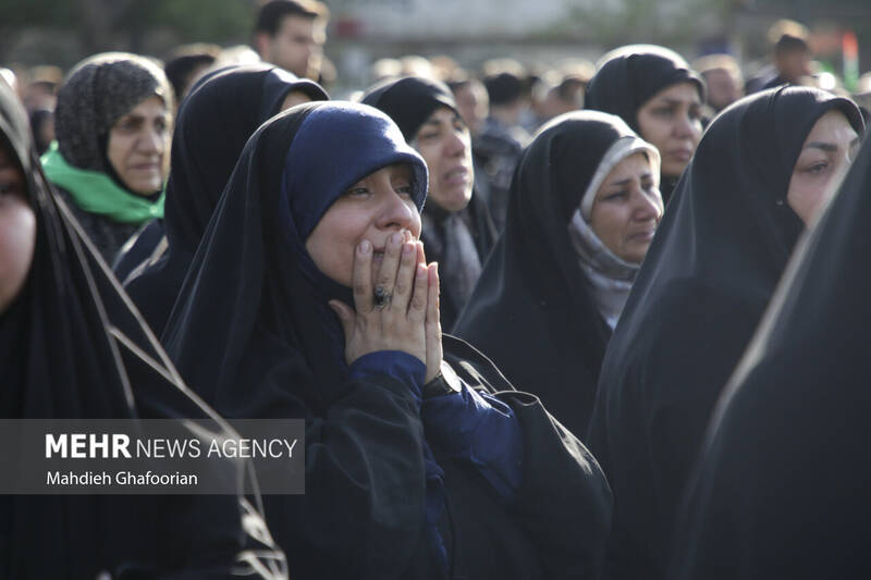 قاب هایی از اندوه در فراق خادم الرضا