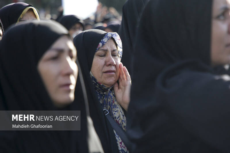 قاب هایی از اندوه در فراق خادم الرضا