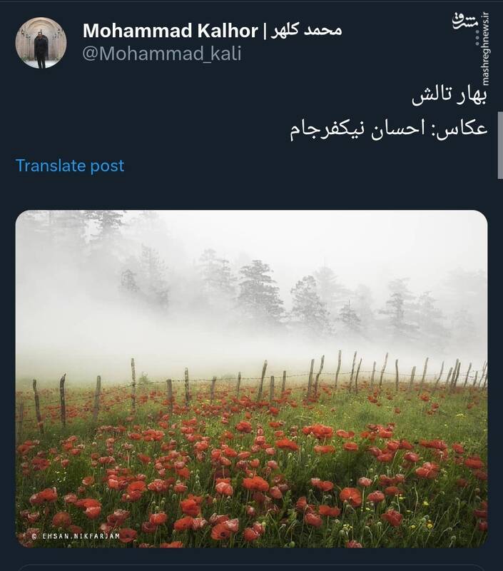 عکسی زیبا را از بهار تالش