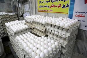 قیمت تخم مرغ در میادین ترهبار