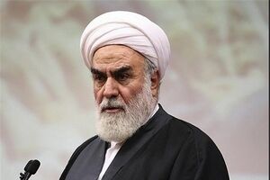 فیلم/ محمدی گلپایگانی: مراسم تشییع "شهدای خدمت" در دنیا بی‌سابقه بود