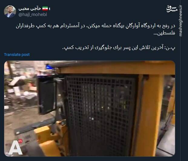 آخرین تلاش ها +فیلم