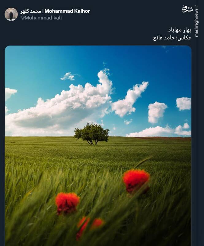 بهار زیبای مهاباد