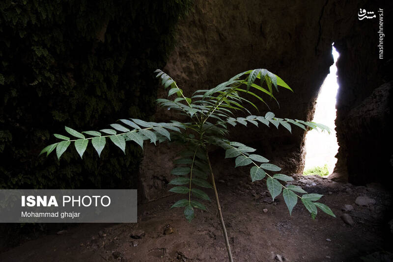 عکس/ آبشار و دره زیبای بالی قایه در مراوه تپه در استان گلستان