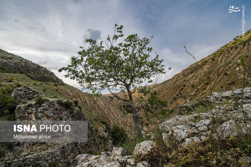عکس/ آبشار و دره زیبای بالی قایه در مراوه تپه در استان گلستان