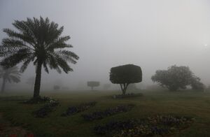 هوای مه‌الود در جزیره کیش