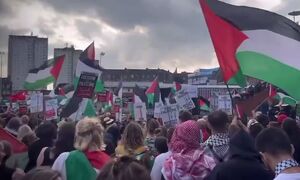تجمع هواداران فلسطین در هامدن آمریکا