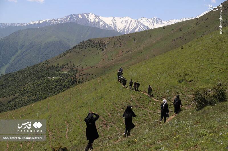 عکس / "قُرُق شکنی"مراتع کلاردشت 14