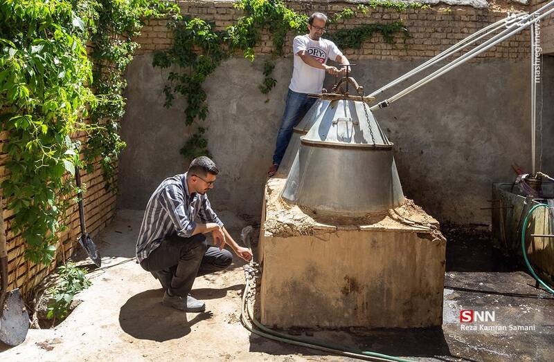 عکس / برداشت گلِ محمدی در چهارمحال و بختیاری 21