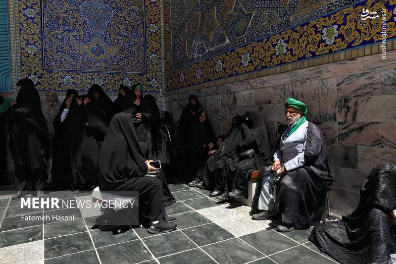 عکس / زیارت امام رضا (ع) در روز زیارت مخصوص 14
