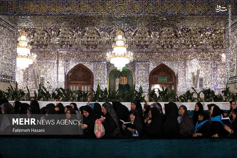 عکس / زیارت امام رضا (ع) در روز زیارت مخصوص 12