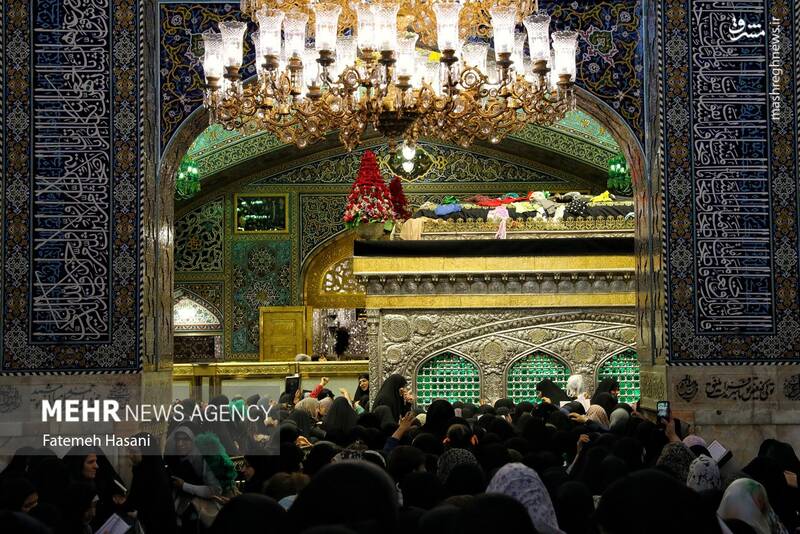 عکس / زیارت امام رضا (ع) در روز زیارت مخصوص 6
