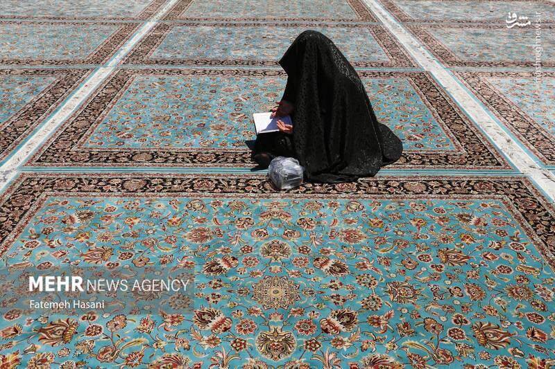 عکس / زیارت امام رضا (ع) در روز زیارت مخصوص 3