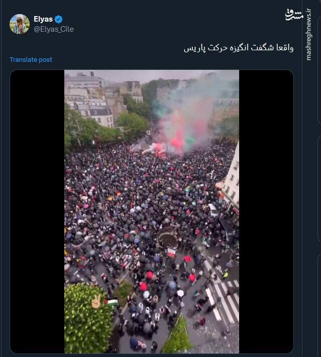 حرکت شگفت انگیزه پاریس در حمایت از غزه+ فیلم