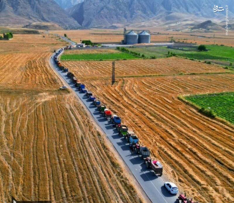 عکس/ صف تراکتورها برای تحویل گندم به سیلو در ایلام